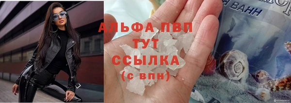 мяу мяу мука Арсеньев