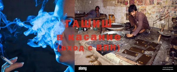 шишки Аркадак