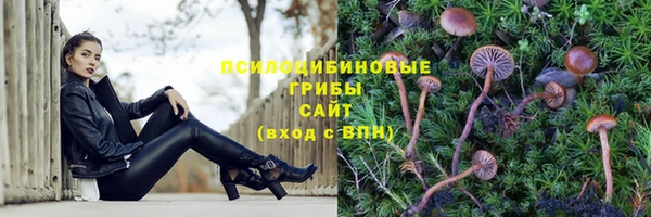мяу мяу мука Арсеньев
