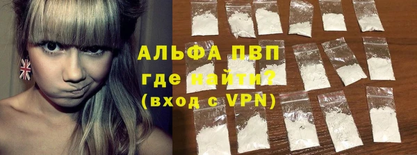 шишки Аркадак
