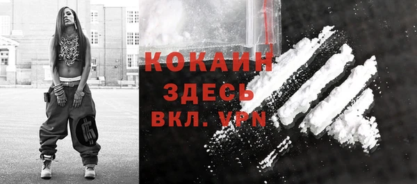шишки Аркадак